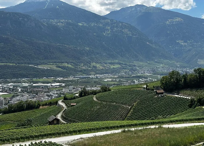 Lägenhet Vineyard Venthone